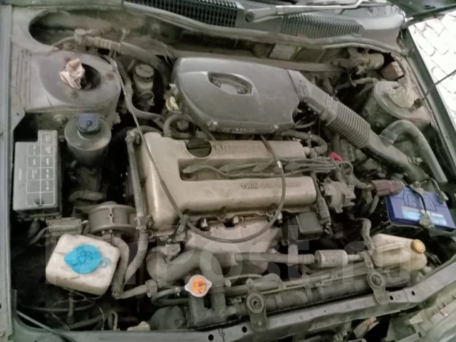 Nissan Primera. �������, ��������, 1.8 (1 838��.�.), ������, 141 254����. �� ����