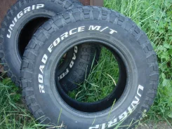 Forceum. ����� mt, 2019 ���, �/�, ����� 20 % ����