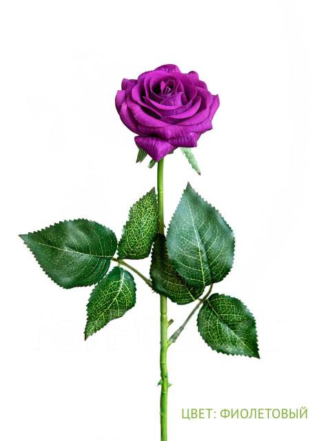 Роза малая - фиолетовая. Силиконовые цветы, новый, в наличии. Цена: 199₽ во  Владивостоке