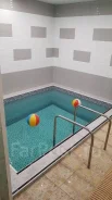����� �������� �������� 231 �. ����� ������� ������� �� ������������ ����