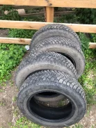 Tunga Nordway. ������, ��� �����, 2019 ���, �/�, ����� �� 5�% ����