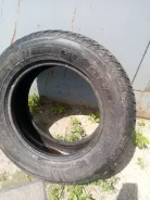 Fedima. ������, ��� �����, �/�, ����� 50�% ����
