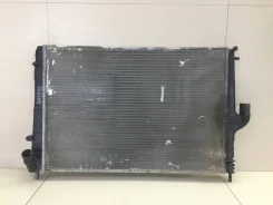 �������� ���������� ��������� Renault Duster 2010-2021 [214101752R] 214101752R ����
