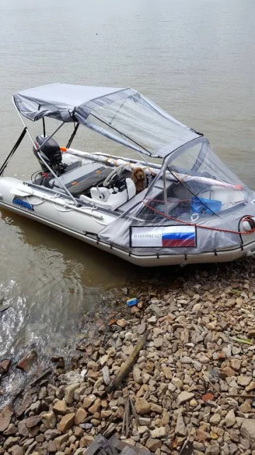 ����� ���. 2018 ���, ����� 3,8��., ��������� ��� ��������� ����