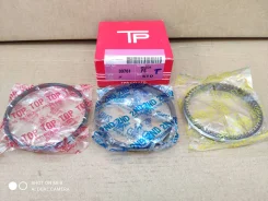 33761 ������ ����. STD TP-TAI FS, FP 83/1,2/1,5/3 33761 ����