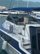 Carver. 1995 ���, ����� 11��., ��������� ������������, ������ ����