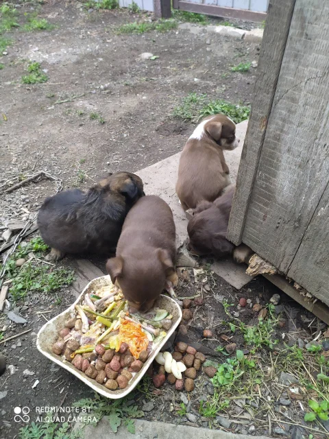 ������. ����