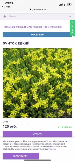 Очи ок едкий