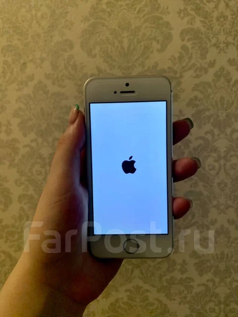Apple iPhone 5s. �/�, �����������, 4G LTE ����