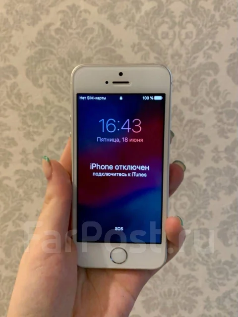 Apple iPhone 5s. �/�, �����������, 4G LTE ����