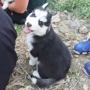 �����. ����