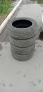 Sprut. ������, 2014 ���, �/�, ����� 50�% ����