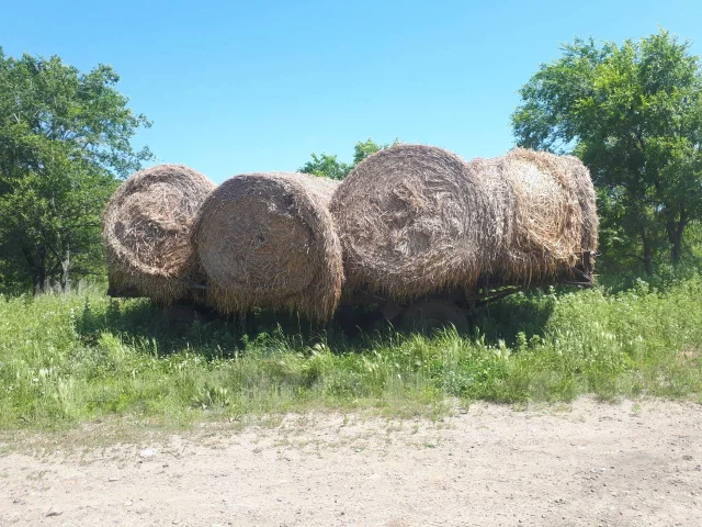 ������. ����