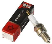 ����� ��������� Champion OE006T10 OE006T10 ����