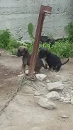 ����� � ������ ���� ����