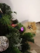 �������� ������� ���������� �� ����� ����