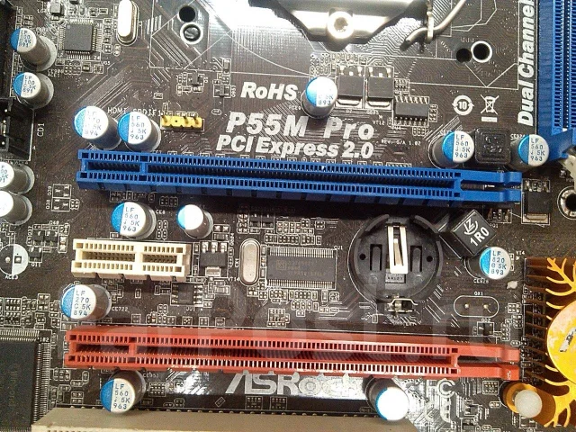 P55 ����
