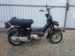 Honda Chaly. 49����. ��., ��������, ��� ���, ������ �� �� ����