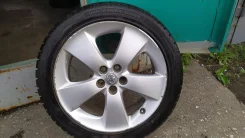 Winter Tact. ������, ��� �����, 2020 ���, �/�, ����� 5�% ����