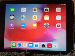 Alpie. 10 ������ ����