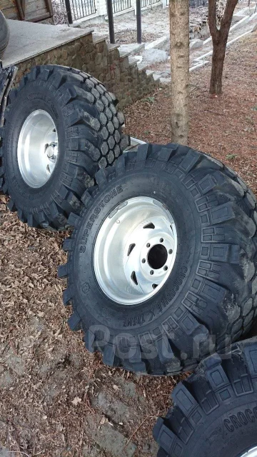 Superstone Crocodile Xtreme. ����� mt, 2015 ���, �/�, ����� 20 % ����