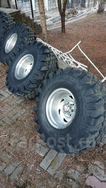 Superstone Crocodile Xtreme. ����� mt, 2015 ���, �/�, ����� 20 % ����