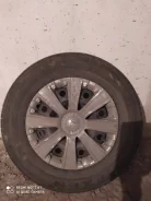 Next Tread. ������, 2019 ���, �/�, ����� 5�% ����