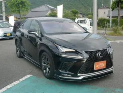 Lexus NX300. ��������, ��������, 2.0 (238��.�.), ������, 22 000����. ��, �/�. ��� ����� �� ������������ ����