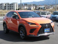 Lexus NX300. ��������, ��������, 2.0 (238��.�.), ������, 11 000����. ��, �/�. ��� ����� �� ������������ ����