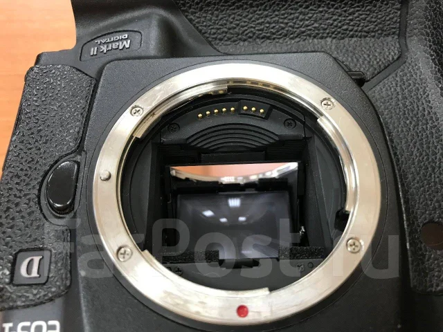 Canon EOS-1D Mark II. 8 - 8.9 ��, ���: ��� ���� ����