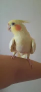�������. ����