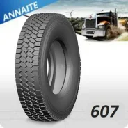 Annaite 607. �����������, 2021 ���, ����� ����