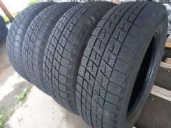 Bridgestone Ice Partner. �����������, �/�, ����� 30�% ����