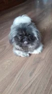 �������. ����