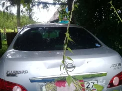 Nissan Bluebird. �������, ��������, 2.0 (133��.�.), ������, 102����. �� ����