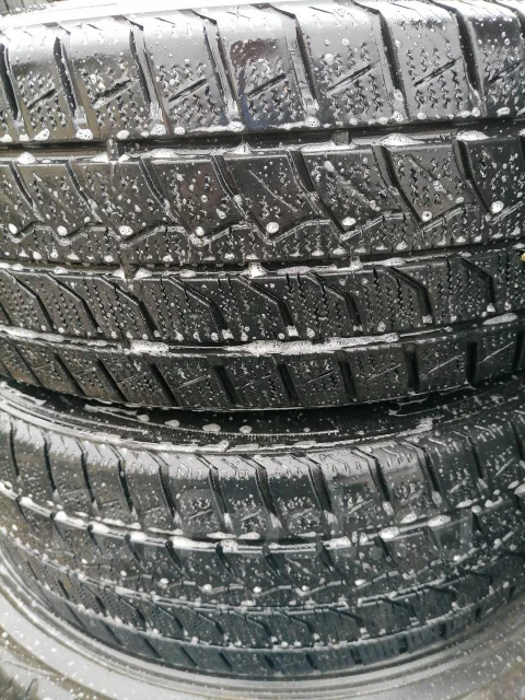 Farroad. �����������, 2019 ���, �/�, ����� �� 5 % ����