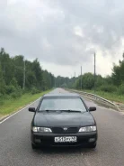Nissan Primera. ��������, ��������, 1.6 (99��.�.), ������, 375 277����. �� ����