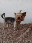 �����. ����