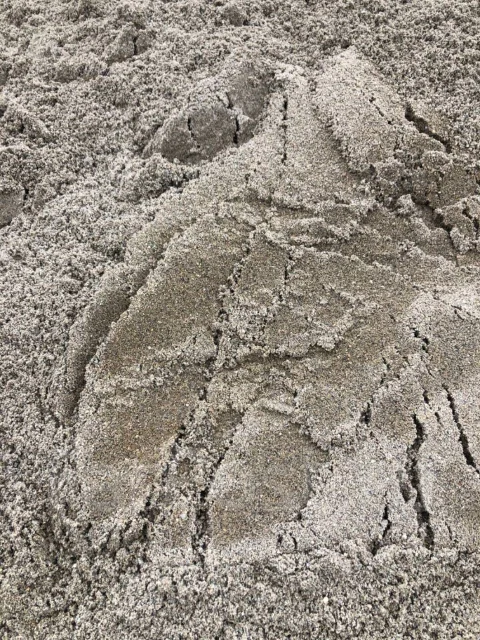 �����. ����