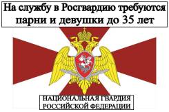 �����������. ���������������� ������ ���������� ������ ����