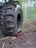 Interco Bogger. ����� mt, 2017 ���, �/�, ����� 10 % ����