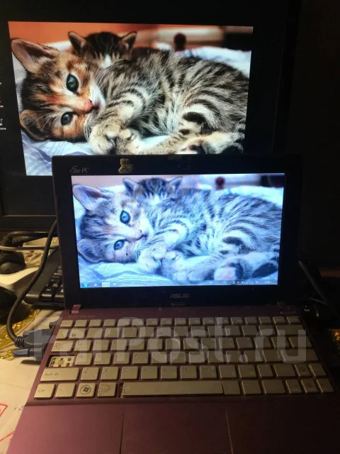Asus Eee PC 1025C. 10", 1,9����, ��� 2048 ��, WiFi: 1, Bluetooth: 1, ����������� �� 1��. ����