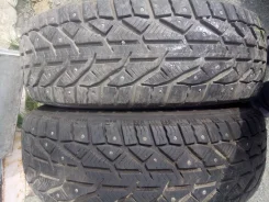 Tigar Ice. ������, ����������, �/�, ����� �� 5 % ����