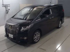 Toyota Alphard. �������, 4wd, 2.5, ������, 69 000����. ��. ��� ����� �� ������������ ����