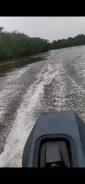 ���� �����. 2015 ���, ����� 3,6��., ��������� ���������, 15��.�., ������ ����