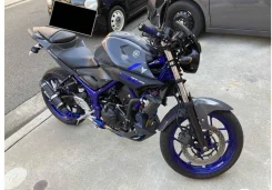 Yamaha MT-25. ��������, ���, ��� �������. ��� ����� �� ������������ ����