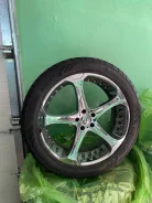 Giovanna Dalar-5V. x22" ����