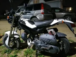 Suzuki Street Magic II. 49����. ��., ��������, ������ �� �� ����