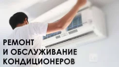 ������������ �������������. ����