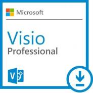 Microsoft Visio. ����